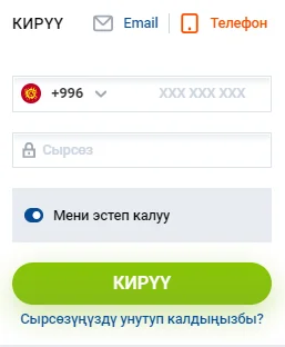 Мобилдик номерди текшерүү